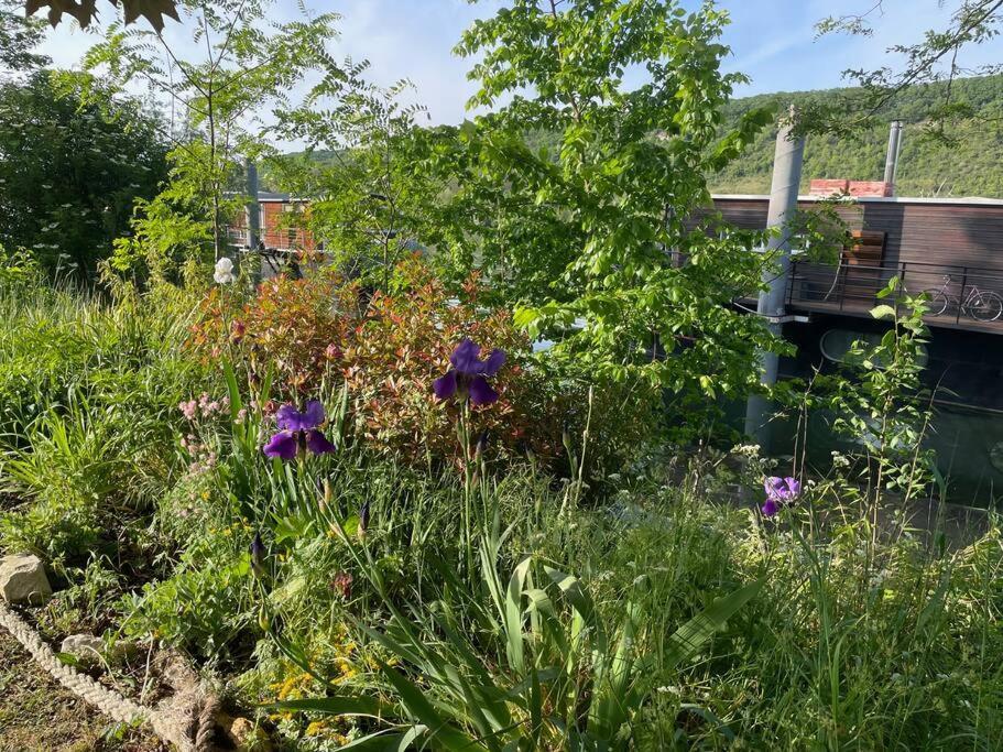 Maison Fleurs de Lys, climatisée, WiFi et Parking Privée Gratuit, Lave-Linge, Vernon Giverny Villa Exterior foto